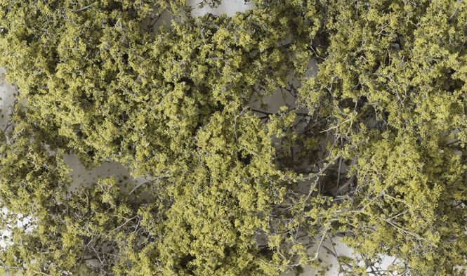 Hovedbilde Fine-Leaf Foliage™ Olivengrønn - Woodland ...