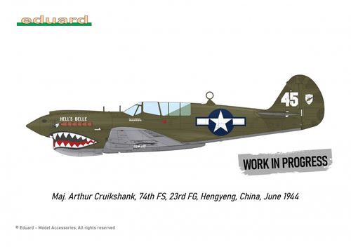 Eduard 1:48 - P-40N WARHAWK ROYAL CLASS DUAL COMBO (R0025)