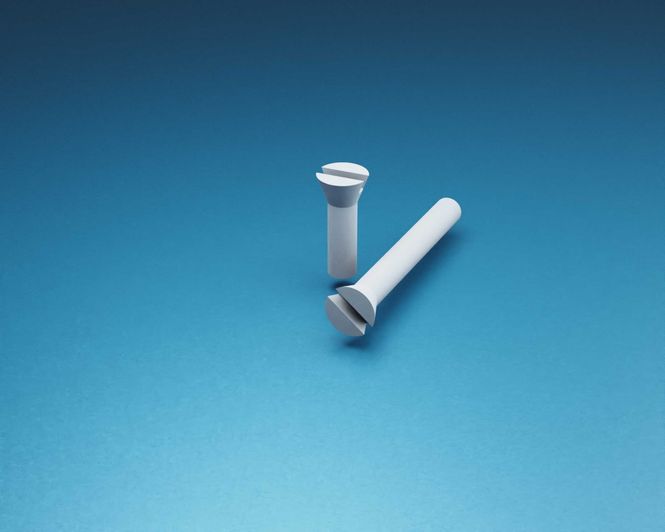 Hovedbilde ANYZ Screws 0.5mm 250 pcs