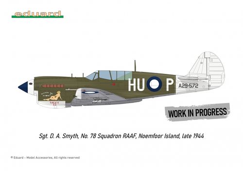 Eduard 1:48 - P-40N WARHAWK ROYAL CLASS DUAL COMBO (R0025)